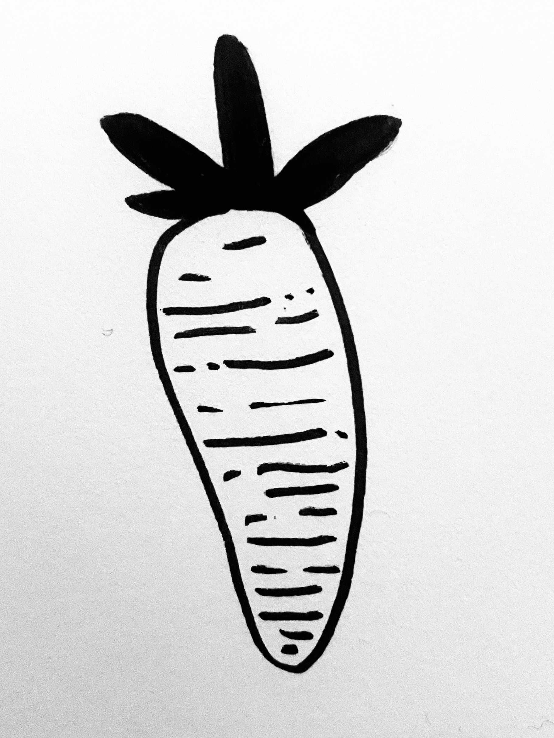 Carrot development