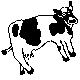 Flying cow