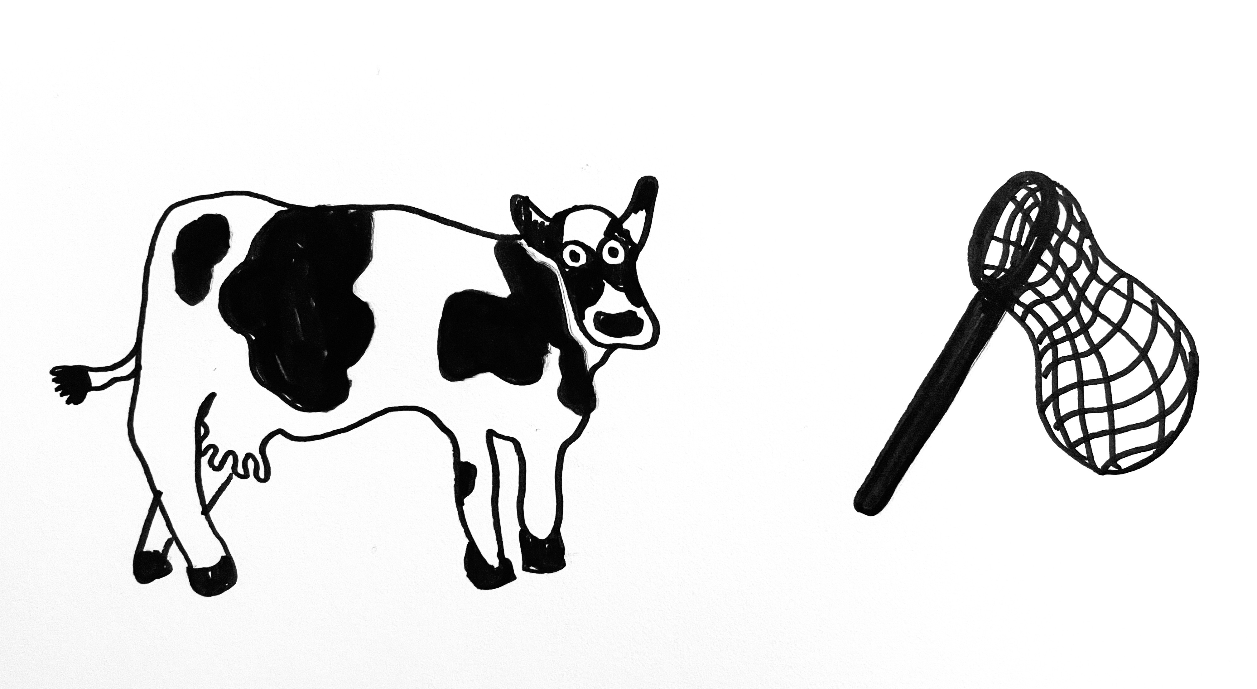 Cow and net development